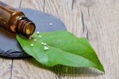 homopathie 170