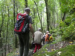 Wanderung Isler im wald2
