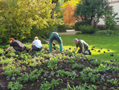gartenarbeit herrmannshof 170
